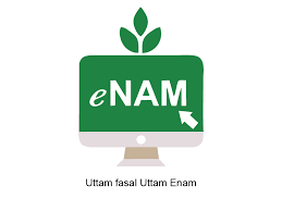 ENAM